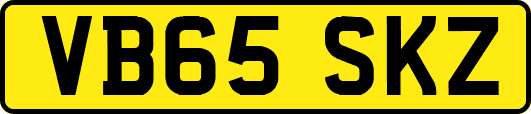 VB65SKZ
