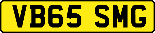 VB65SMG
