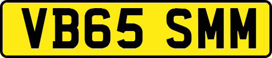 VB65SMM