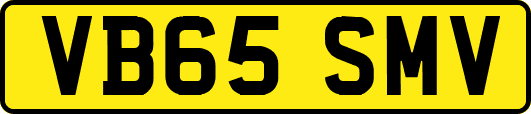 VB65SMV