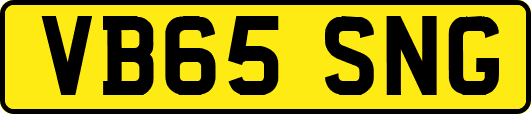 VB65SNG
