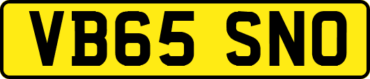 VB65SNO