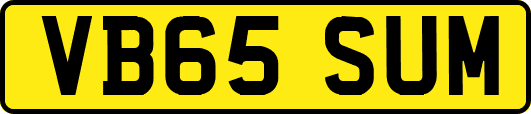 VB65SUM