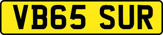 VB65SUR
