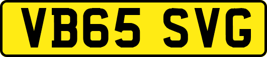 VB65SVG