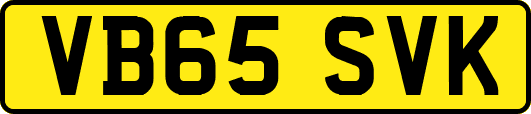 VB65SVK