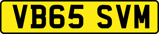 VB65SVM
