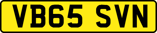 VB65SVN