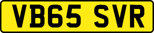 VB65SVR