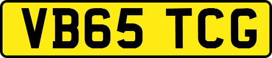 VB65TCG