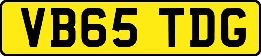 VB65TDG