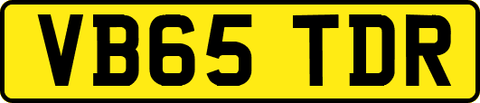 VB65TDR