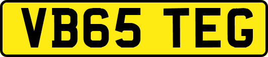 VB65TEG