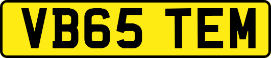 VB65TEM