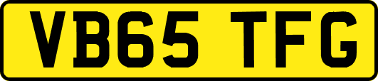VB65TFG