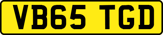VB65TGD