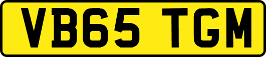 VB65TGM
