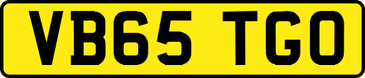 VB65TGO