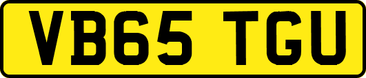 VB65TGU