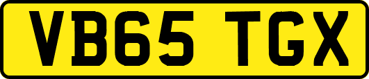 VB65TGX