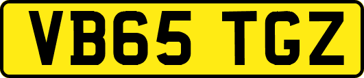 VB65TGZ