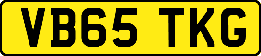 VB65TKG