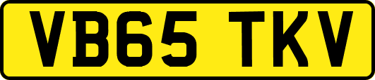 VB65TKV