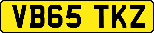 VB65TKZ
