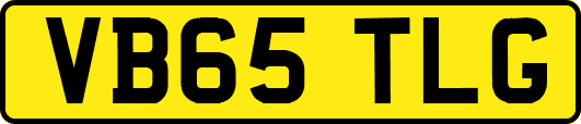 VB65TLG
