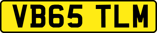 VB65TLM