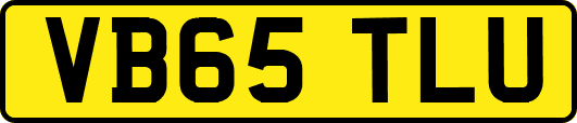VB65TLU