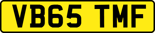 VB65TMF