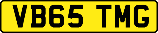 VB65TMG