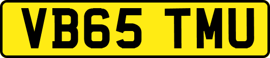 VB65TMU