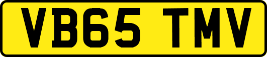 VB65TMV