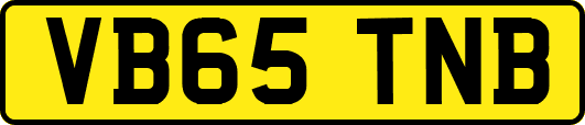 VB65TNB