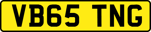 VB65TNG