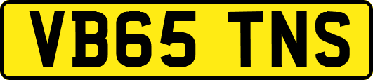 VB65TNS