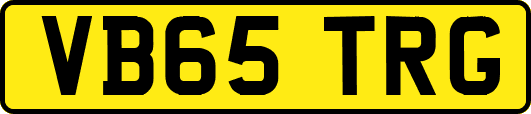 VB65TRG