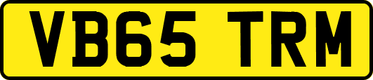 VB65TRM