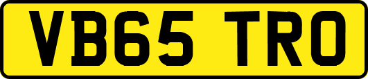 VB65TRO