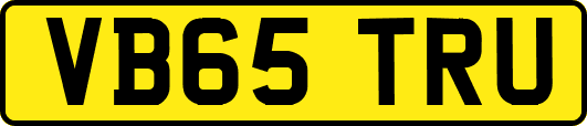 VB65TRU