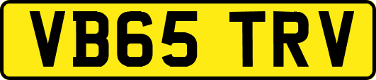VB65TRV