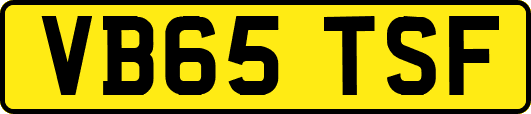 VB65TSF