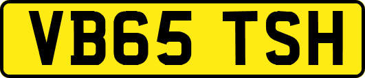 VB65TSH