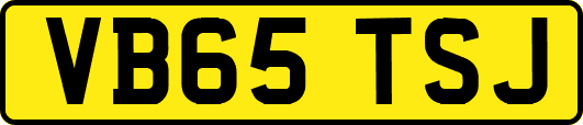 VB65TSJ