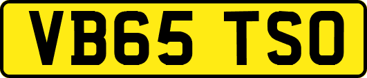 VB65TSO