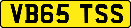 VB65TSS