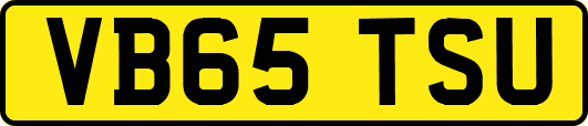 VB65TSU