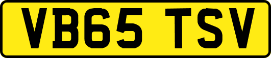 VB65TSV